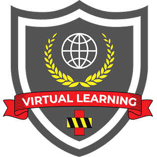 Virtual Learning